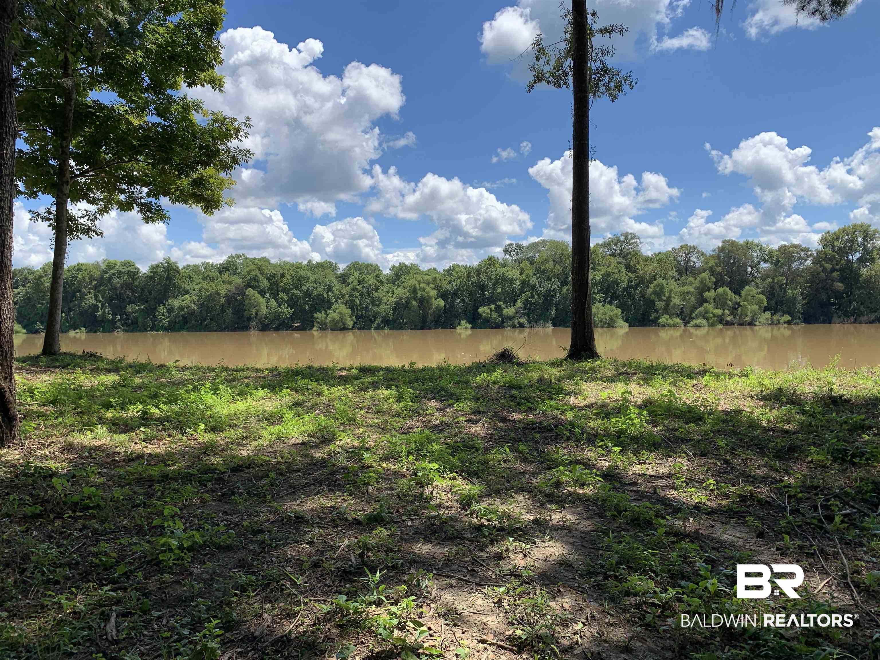 87 Sandy Bottoms Road Gainestown, AL 36540 - Photo 3 of 8