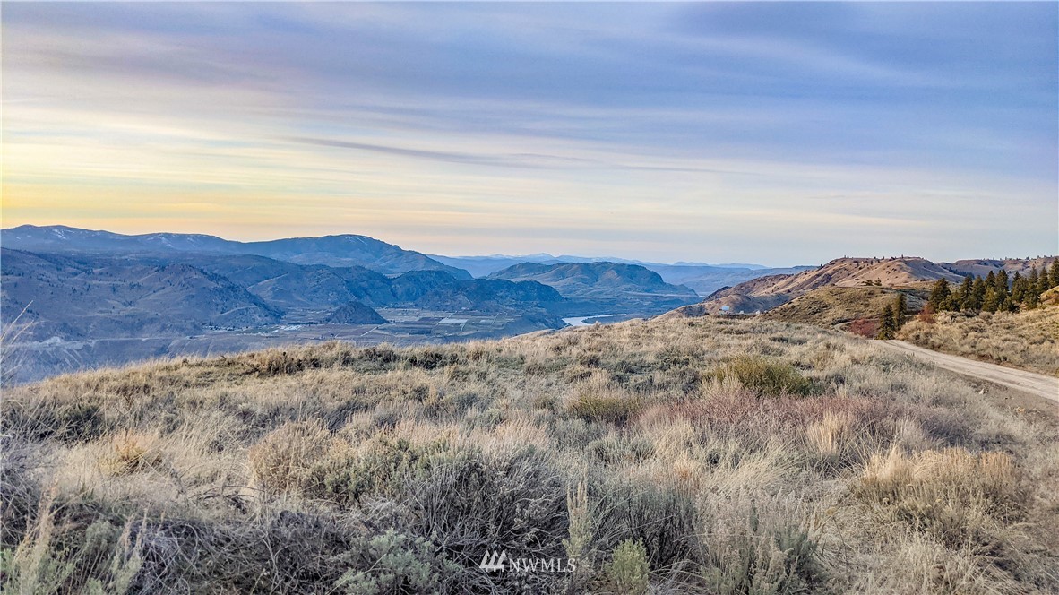 266 Mountain Spring Road Orondo, WA 98843 - Photo 11 of 40 Gallery Image 11