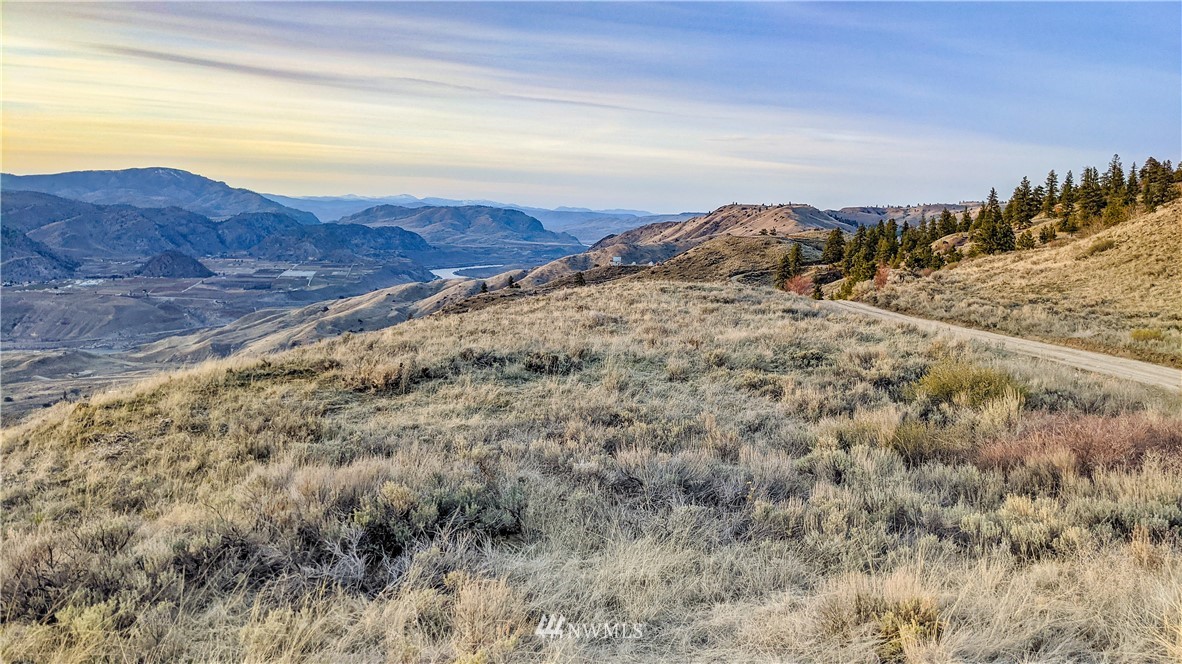 266 Mountain Spring Road Orondo, WA 98843 - Photo 15 of 40 Gallery Image 15