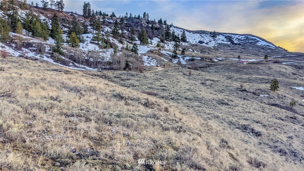 266 Mountain Spring Road Orondo, WA 98843 - Photo 22 of 40 Gallery Image 22