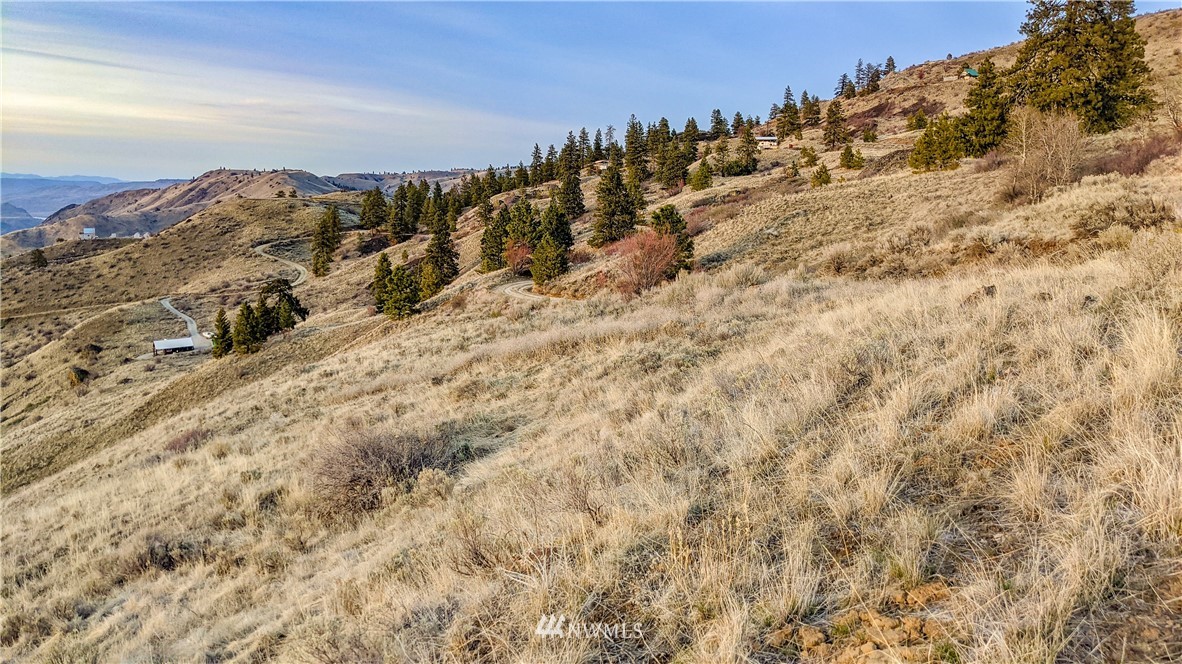 266 Mountain Spring Road Orondo, WA 98843 - Photo 24 of 40 Gallery Image 24