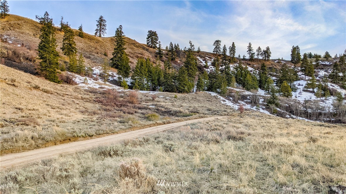 266 Mountain Spring Road Orondo, WA 98843 - Photo 26 of 40 Gallery Image 26