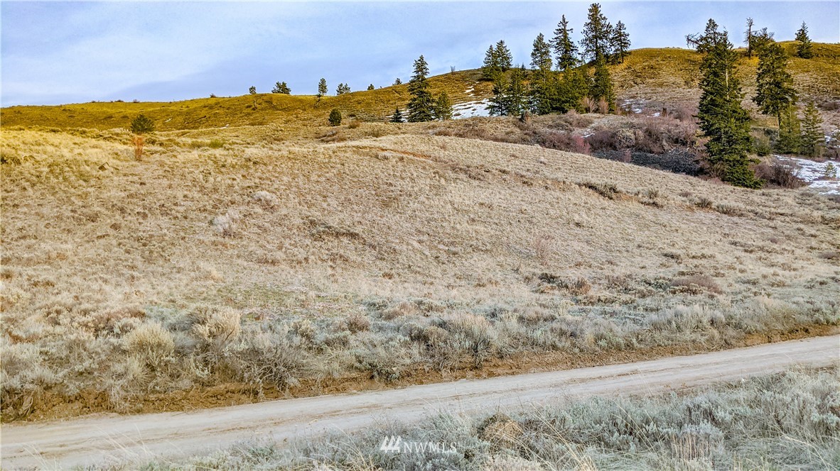 266 Mountain Spring Road Orondo, WA 98843 - Photo 27 of 40 Gallery Image 27