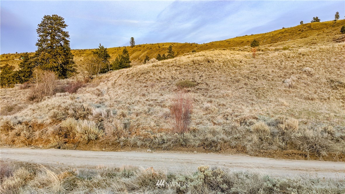 266 Mountain Spring Road Orondo, WA 98843 - Photo 28 of 40 Gallery Image 28