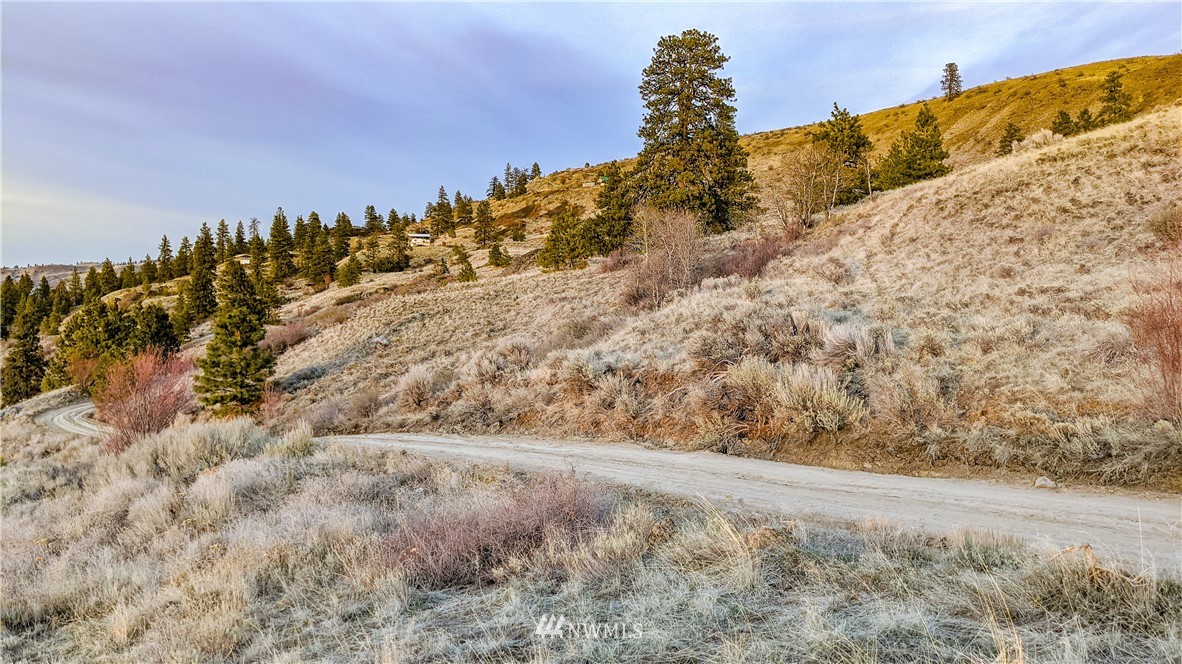 266 Mountain Spring Road Orondo, WA 98843 - Photo 29 of 40 Gallery Image 29