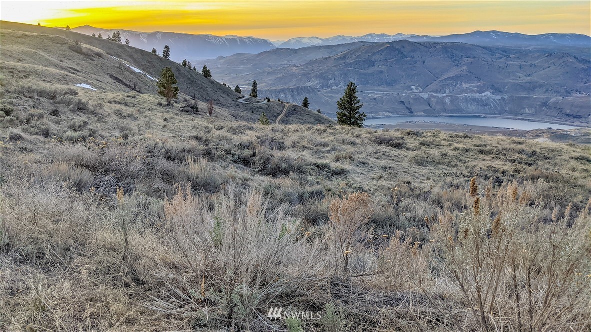 266 Mountain Spring Road Orondo, WA 98843 - Photo 7 of 40 Gallery Image 7