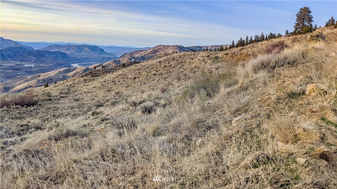 266 Mountain Spring Road Orondo, WA 98843 - Photo 8 of 40 Gallery Image 8