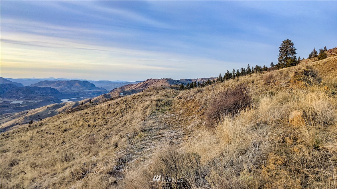 266 Mountain Spring Road Orondo, WA 98843 - Photo 10 of 40 Gallery Image 10