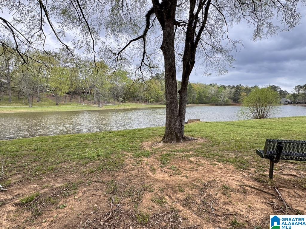 228 Red Bay Drive Alabaster, AL 35114 - Photo 71 of 80