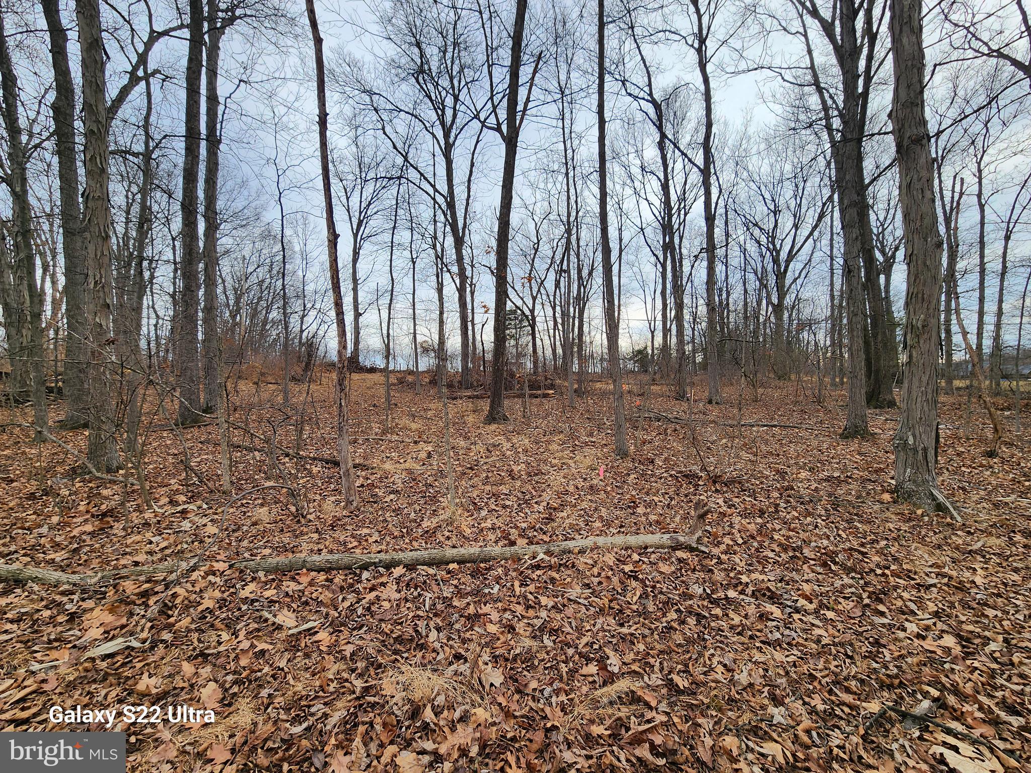 470 Seven Stars Road Gettysburg, PA 17325 - Photo 3 of 8