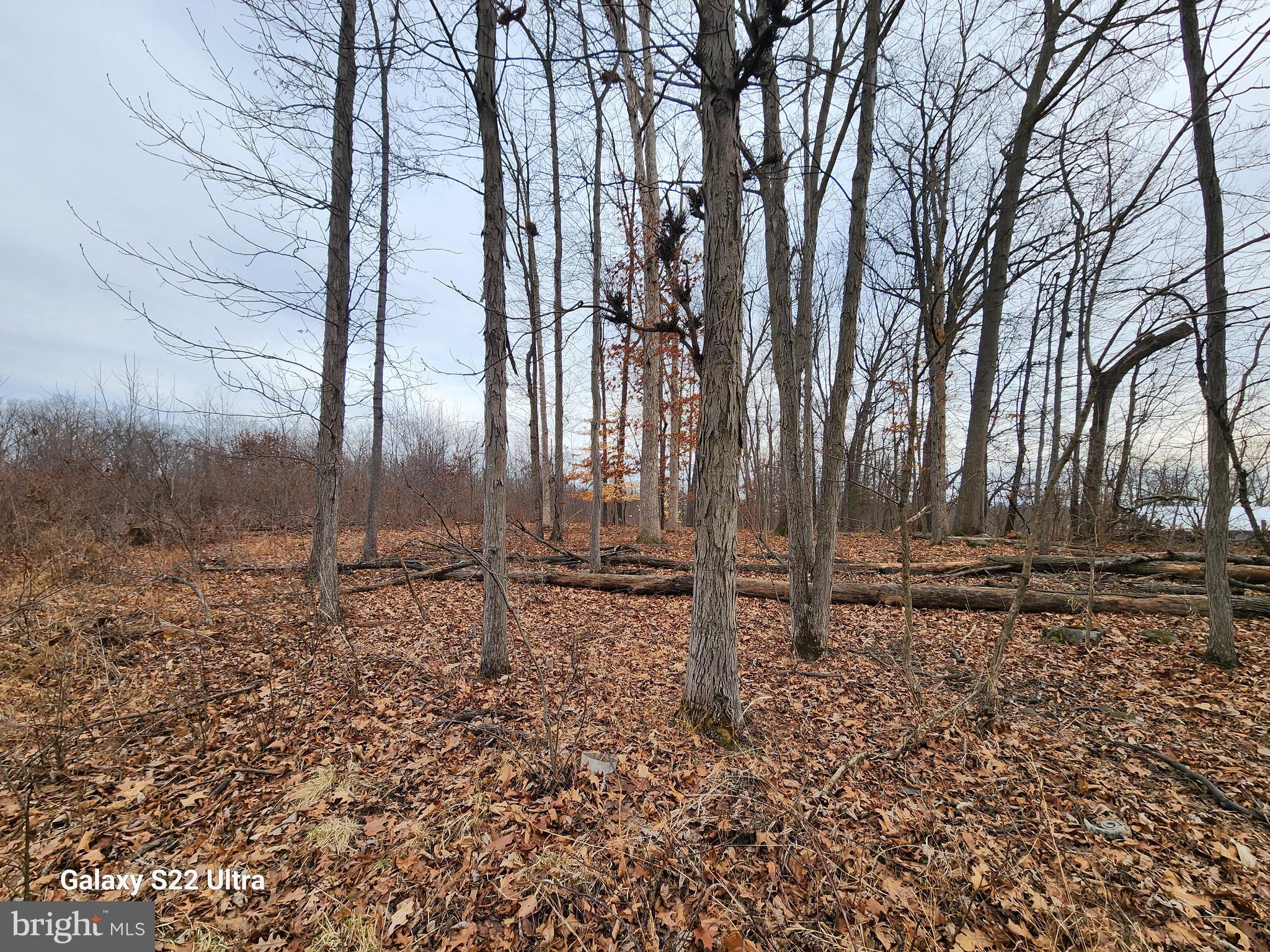 470 Seven Stars Road Gettysburg, PA 17325 - Photo 5 of 8