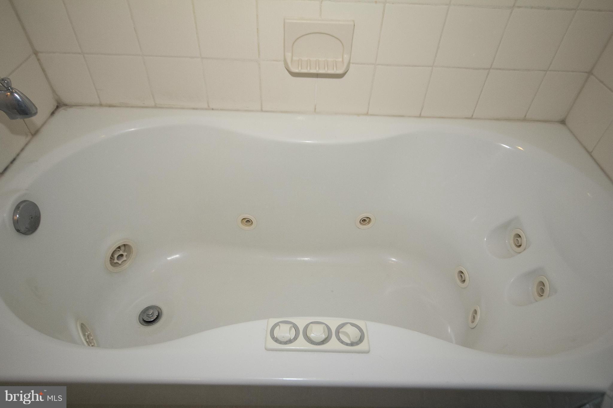 2 Center Road, Unit B1 Baltimore, MD 21286 - Photo 15 of 16 Bath