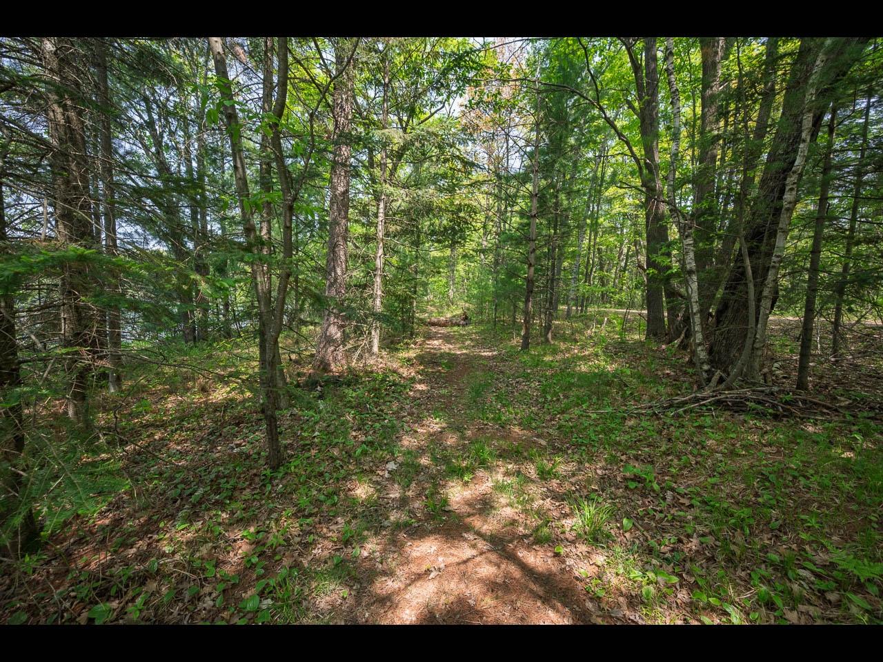 Lot 56 St Marys Road Eagle River, WI 54521 - Photo 6 of 18