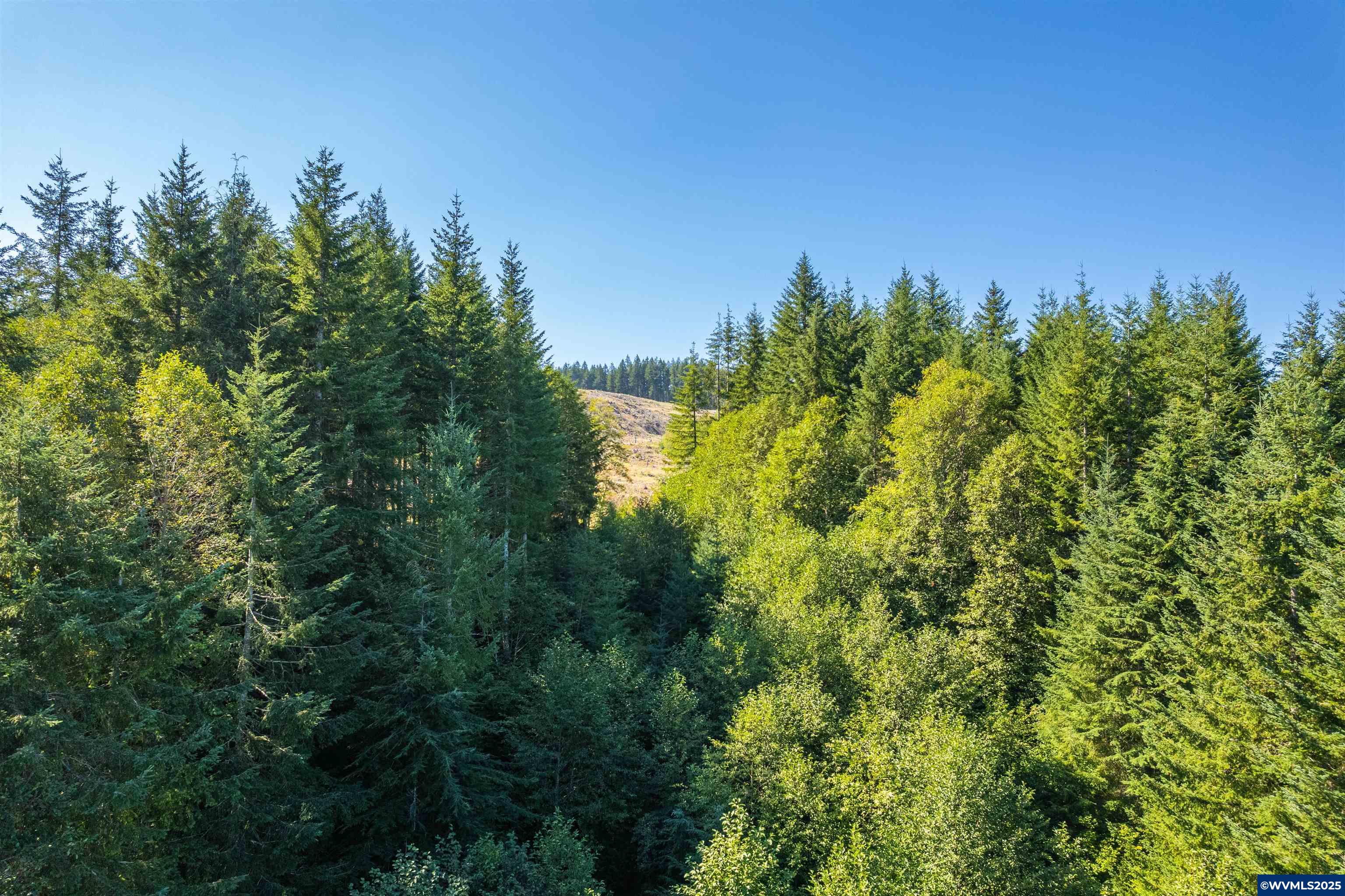 0 Bald Mountain Access Road Willamina, OR 97396 - Photo 18 of 30