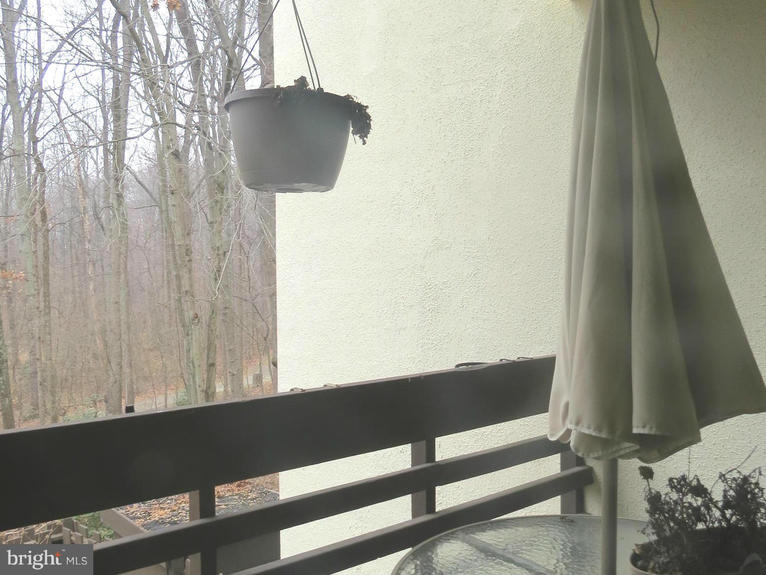 11974 Barrel Cooper Court Reston, VA 20191 - Photo 11 of 30 Exterior (Rear) balcony