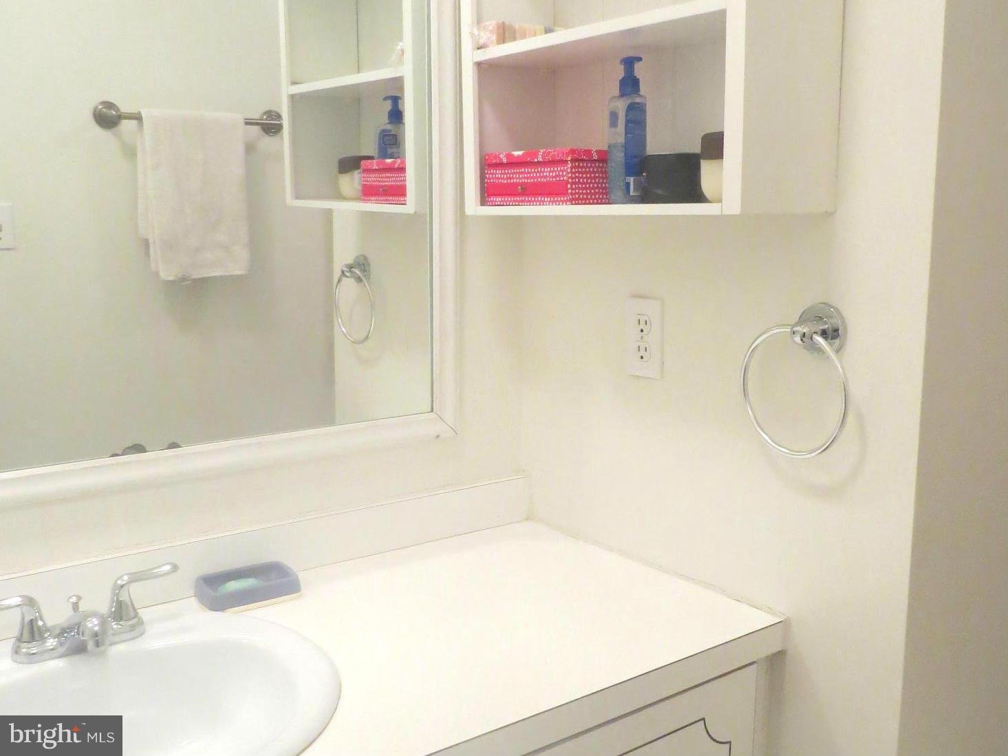11974 Barrel Cooper Court Reston, VA 20191 - Photo 25 of 30 basement Bath