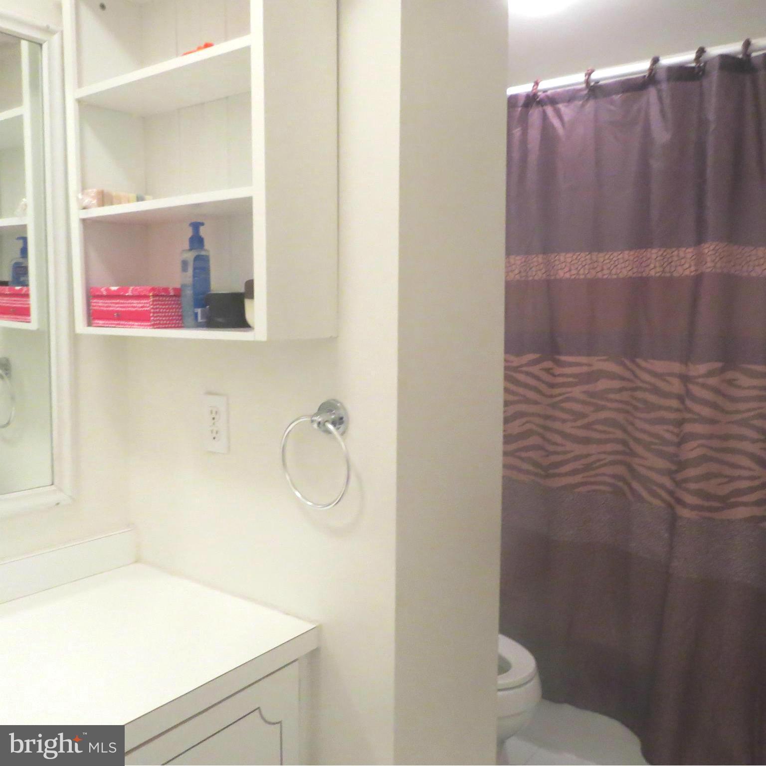 11974 Barrel Cooper Court Reston, VA 20191 - Photo 26 of 30 basement Bath