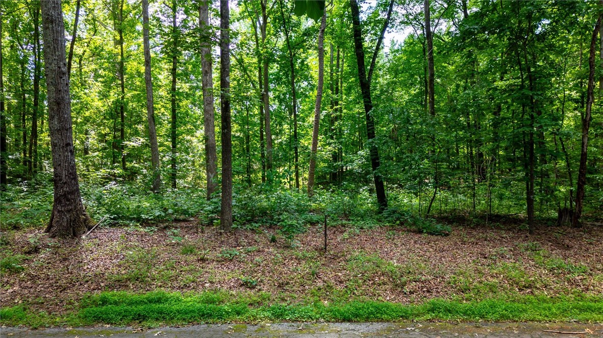 1014 Challedon Way Pendleton, SC 29670 - Photo 11 of 18