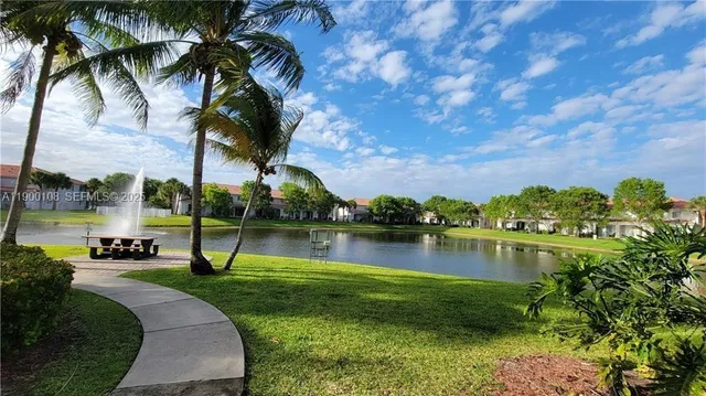 a view of a park with palm trees