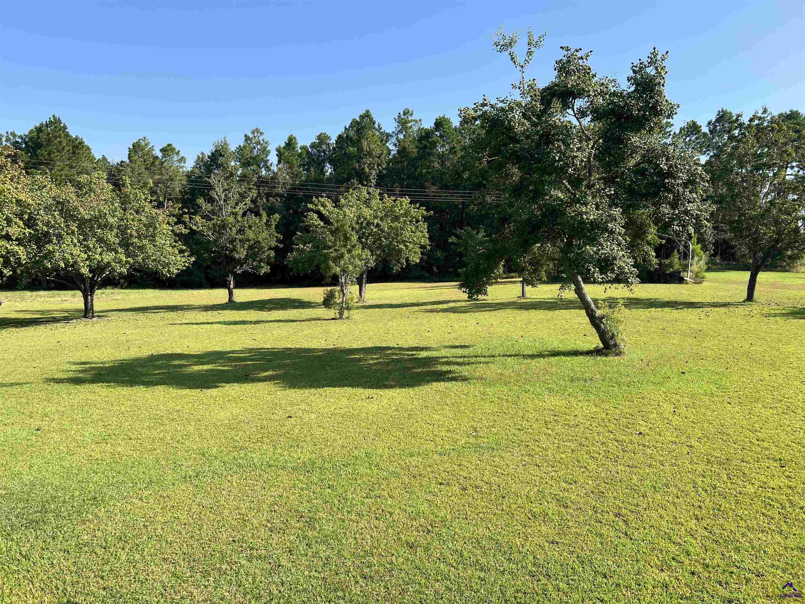 762 Nicholson-Carr Road Chester, GA 31012 - Photo 55 of 81 a view of an outdoor space and swimming pool