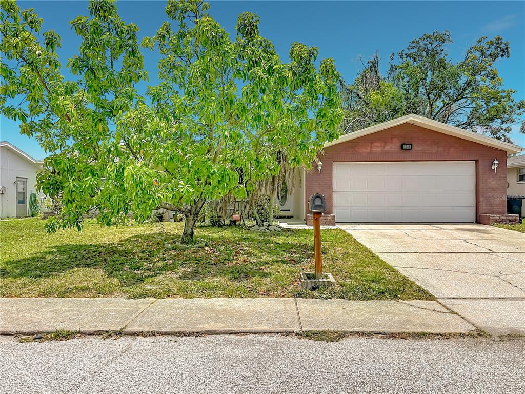 8944 Ledgestone Lane Port Richey, FL 34668 - Photo 4 of 37