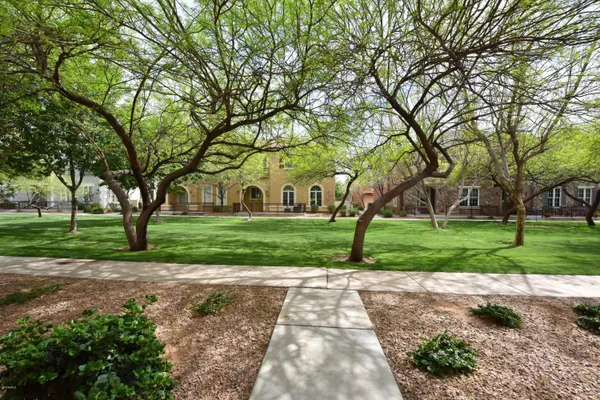 a view of a yard with plants and large trees