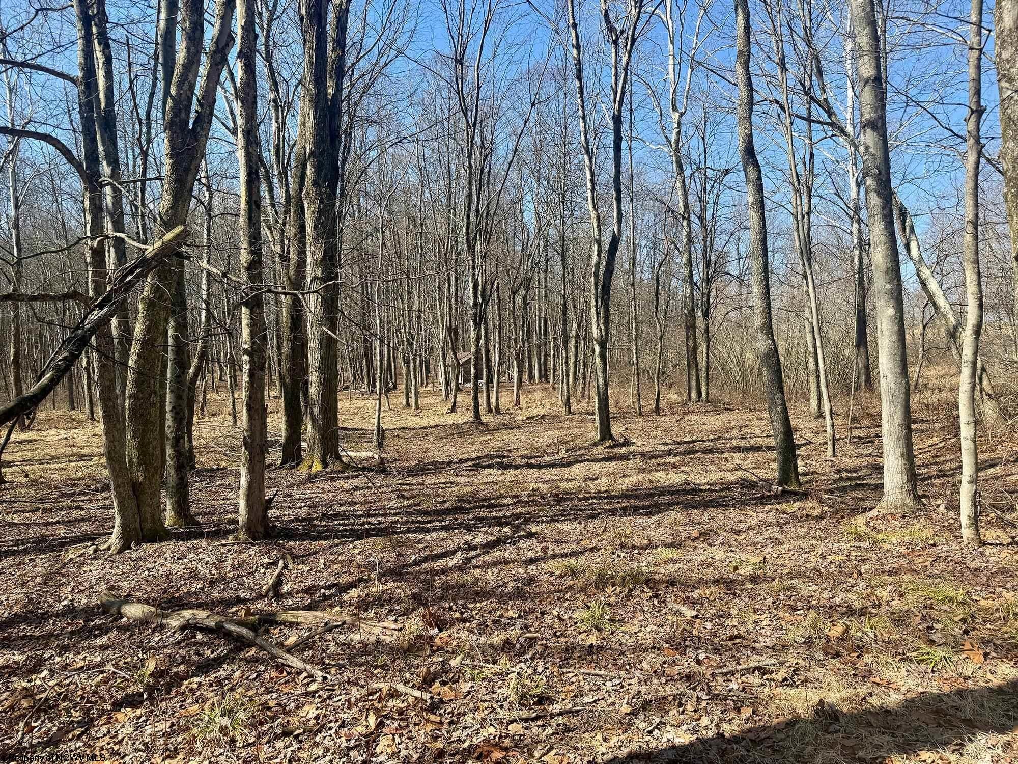0 Ludwig Road Grafton, WV 26354 - Photo 1 of 10 Gallery Image 1