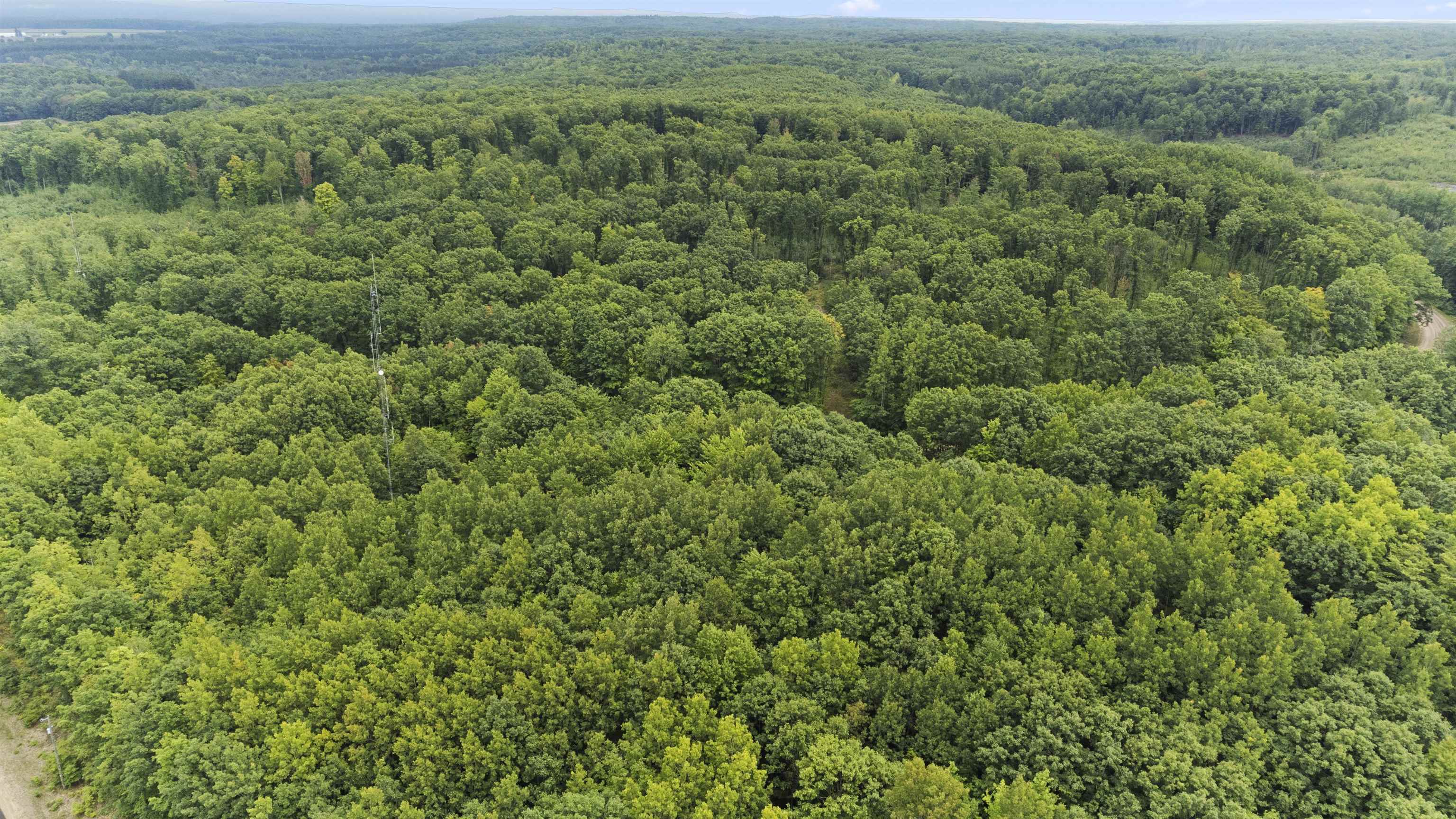 9 9 Mile Road Kingsley, MI 49649 - Photo 17 of 66