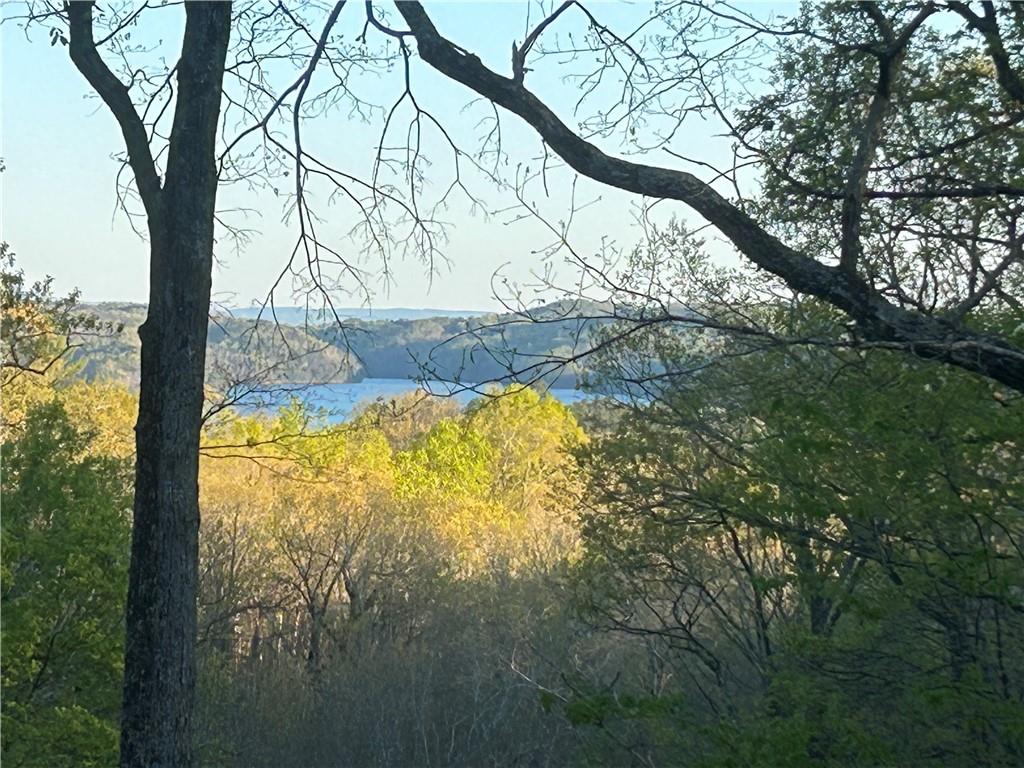 439 Buck Creek Road Ellijay, GA 30540 - Photo 1 of 14 a view of a yard with large tree
