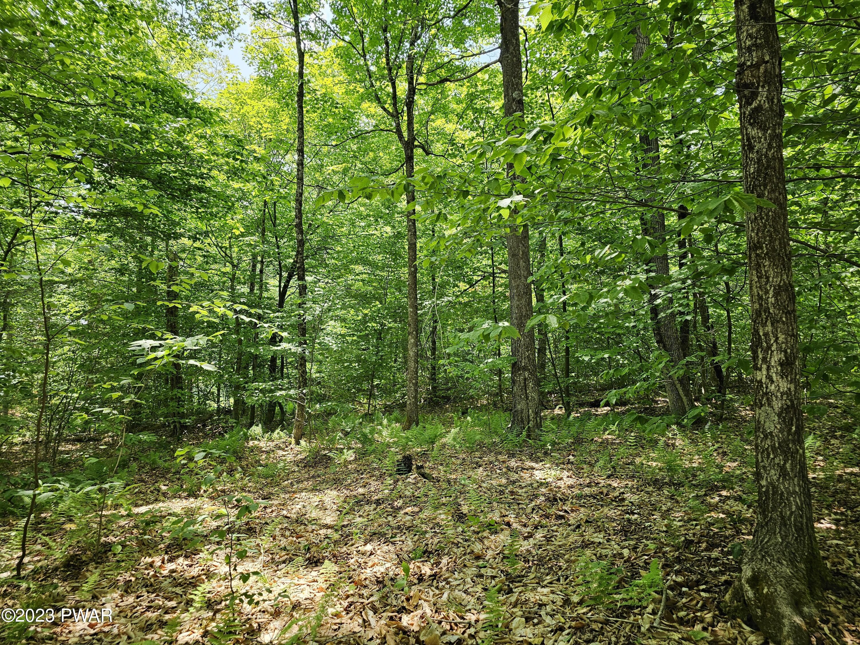 Lot 69 Stonegate Road Equinunk, PA 18417 - Photo 13 of 29