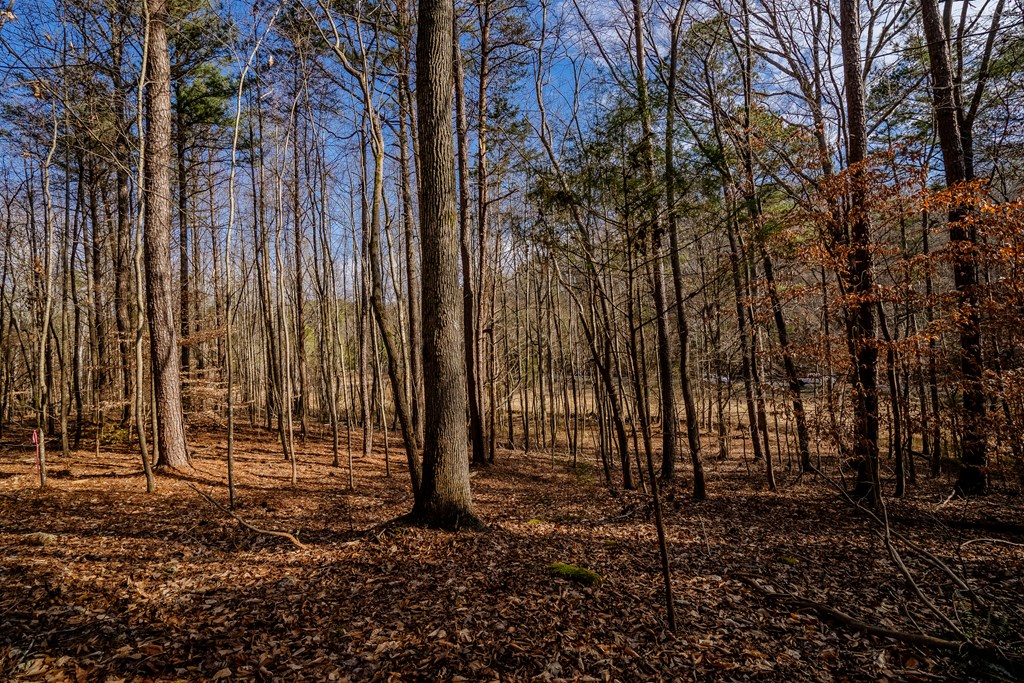Lot 42 Quarles Road Rocky Face, GA 30740 - Photo 12 of 27 Gallery Image 12