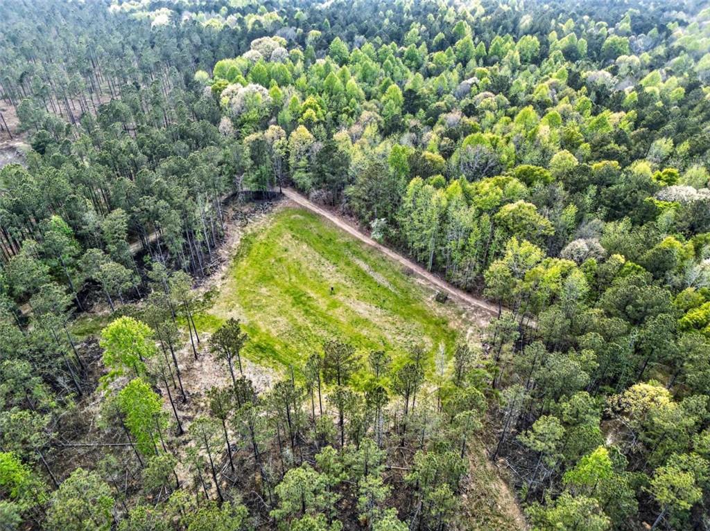 669 Pecan Grove Road Washington, GA 30673 - Photo 11 of 61