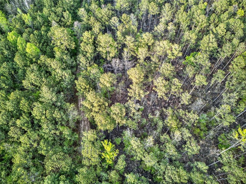 669 Pecan Grove Road Washington, GA 30673 - Photo 13 of 61