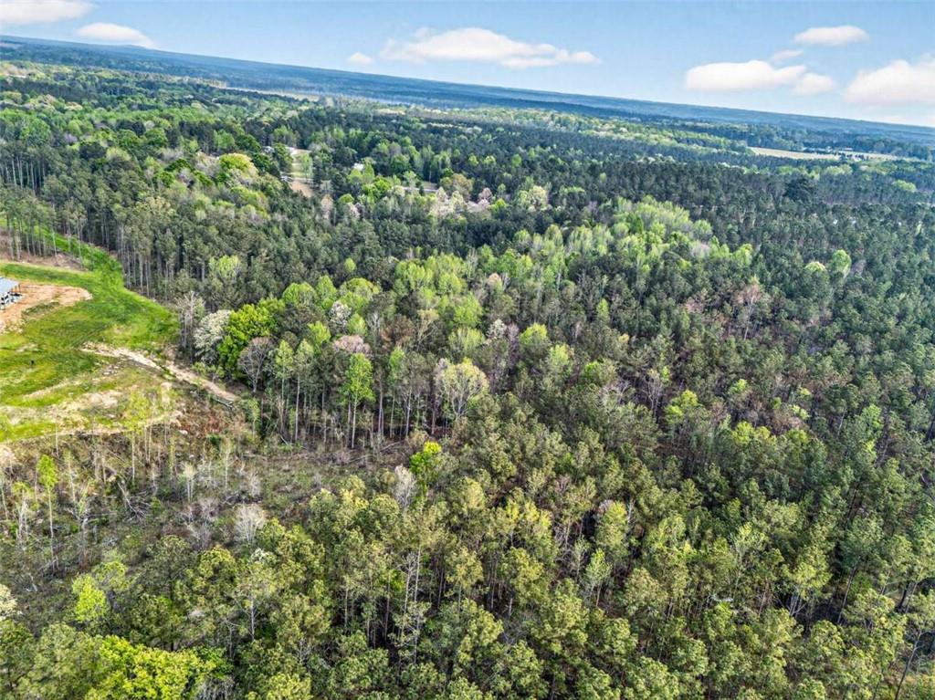 669 Pecan Grove Road Washington, GA 30673 - Photo 14 of 61