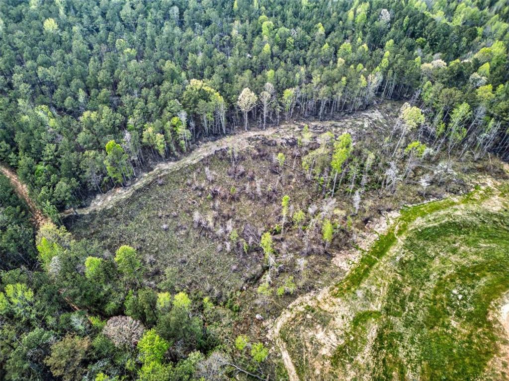 669 Pecan Grove Road Washington, GA 30673 - Photo 18 of 61