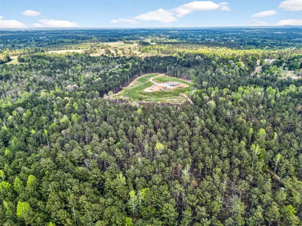 669 Pecan Grove Road Washington, GA 30673 - Photo 20 of 61