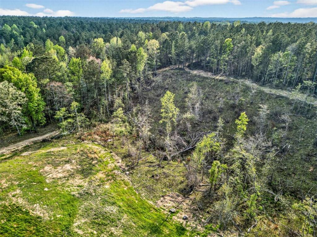 669 Pecan Grove Road Washington, GA 30673 - Photo 24 of 61