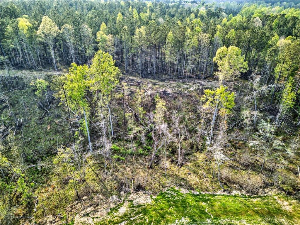 669 Pecan Grove Road Washington, GA 30673 - Photo 25 of 61