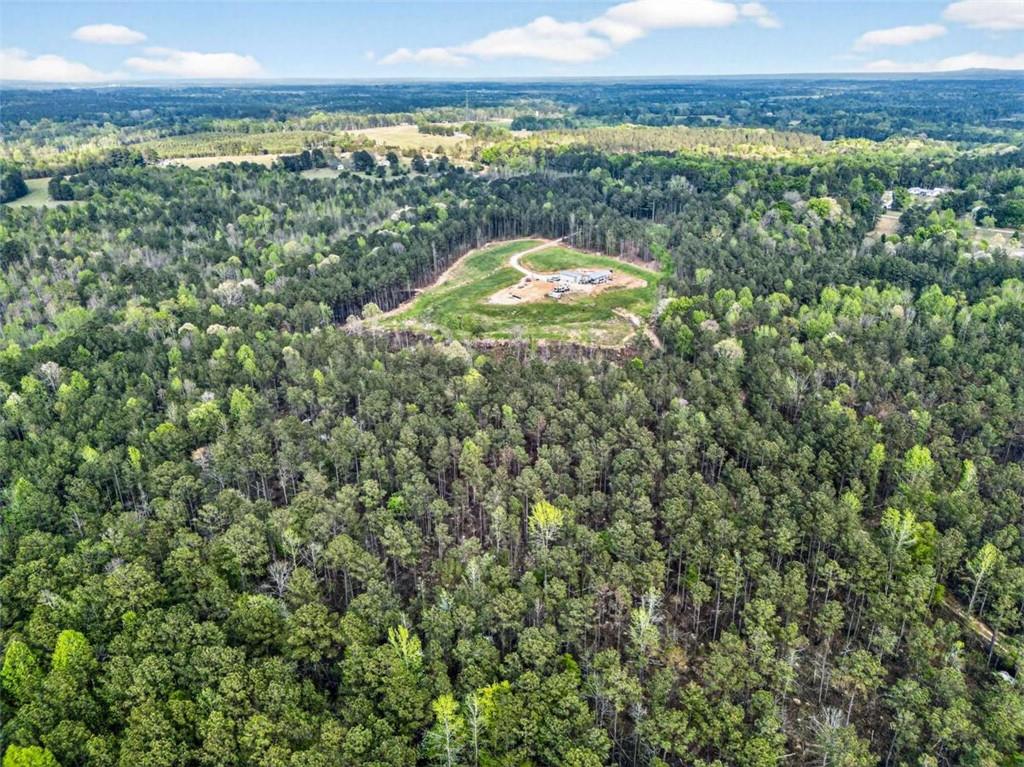 669 Pecan Grove Road Washington, GA 30673 - Photo 28 of 61