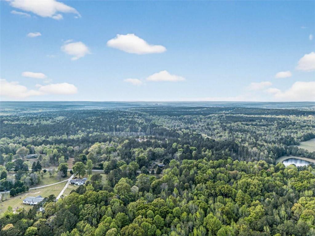 669 Pecan Grove Road Washington, GA 30673 - Photo 3 of 61