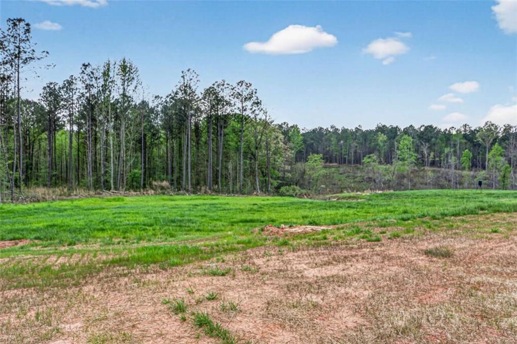 669 Pecan Grove Road Washington, GA 30673 - Photo 32 of 61