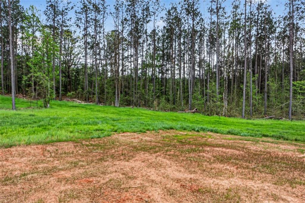 669 Pecan Grove Road Washington, GA 30673 - Photo 33 of 61