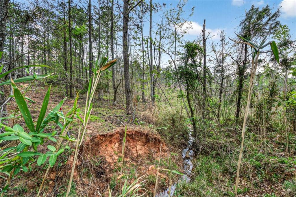 669 Pecan Grove Road Washington, GA 30673 - Photo 34 of 61