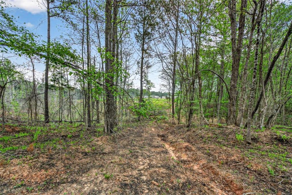 669 Pecan Grove Road Washington, GA 30673 - Photo 35 of 61