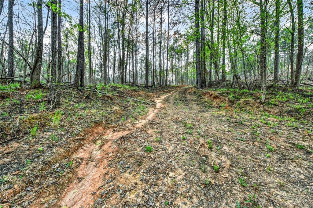 669 Pecan Grove Road Washington, GA 30673 - Photo 36 of 61