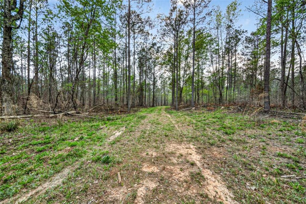 669 Pecan Grove Road Washington, GA 30673 - Photo 37 of 61