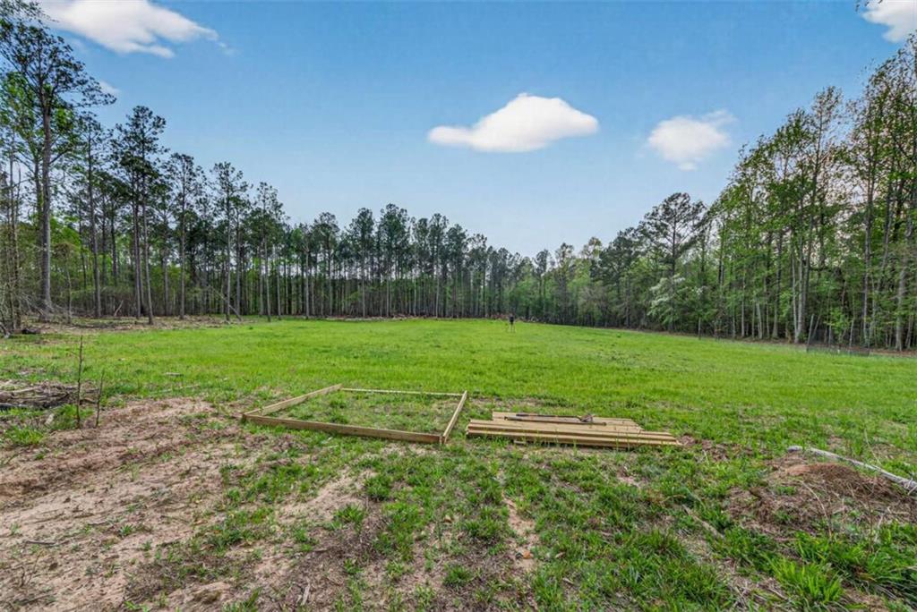 669 Pecan Grove Road Washington, GA 30673 - Photo 38 of 61