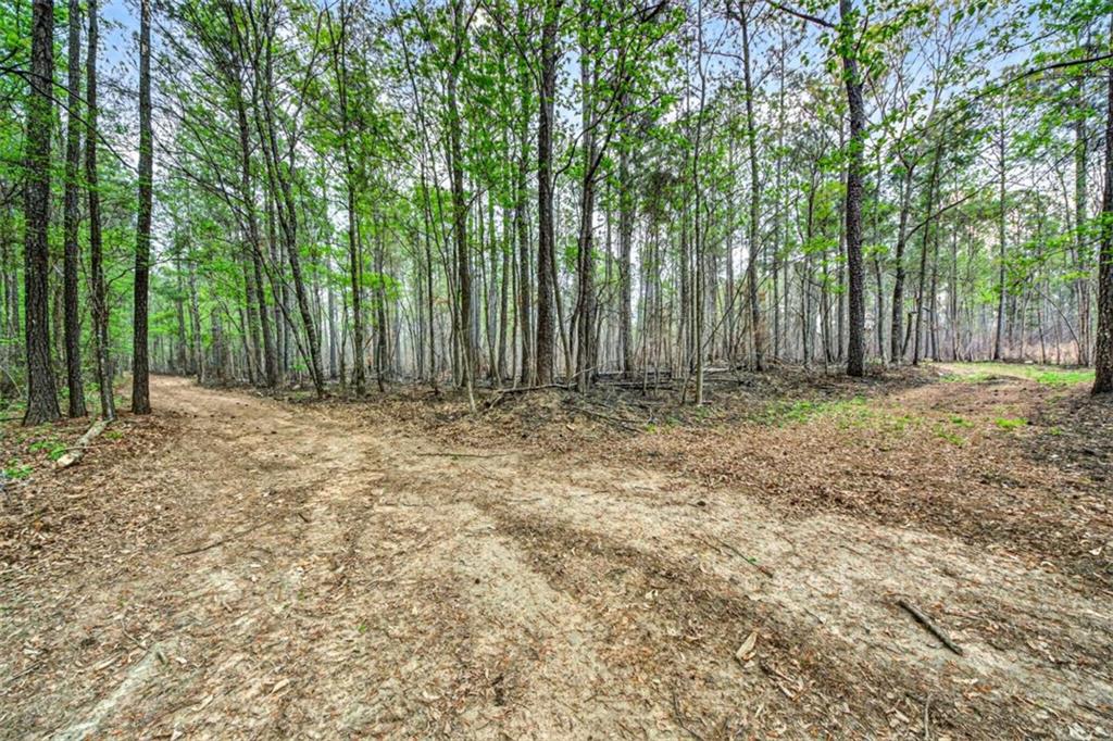 669 Pecan Grove Road Washington, GA 30673 - Photo 39 of 61