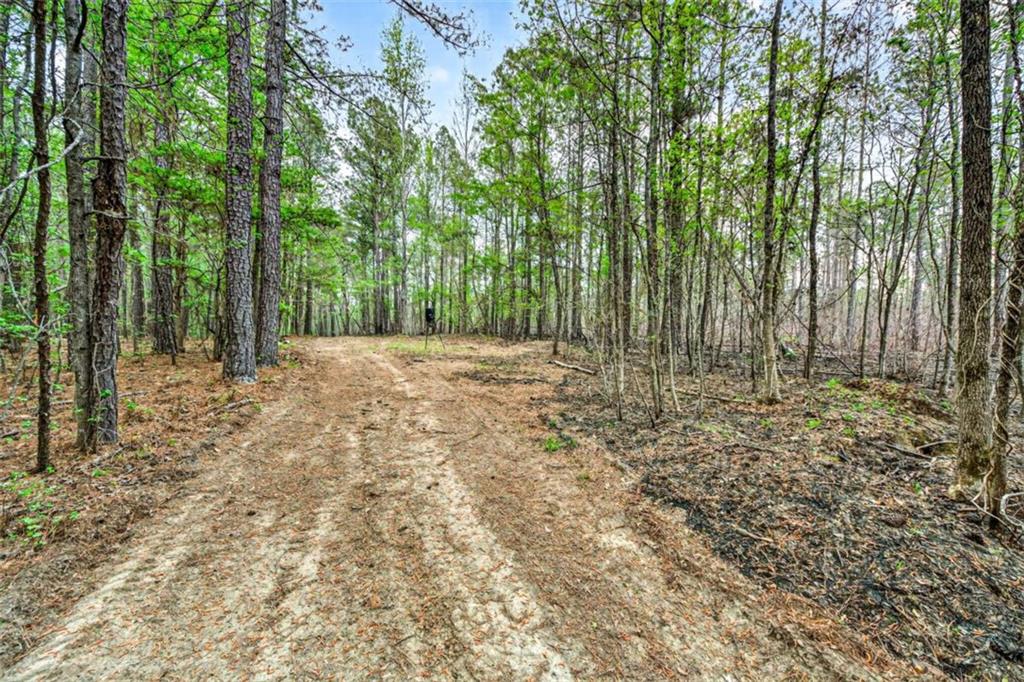 669 Pecan Grove Road Washington, GA 30673 - Photo 40 of 61