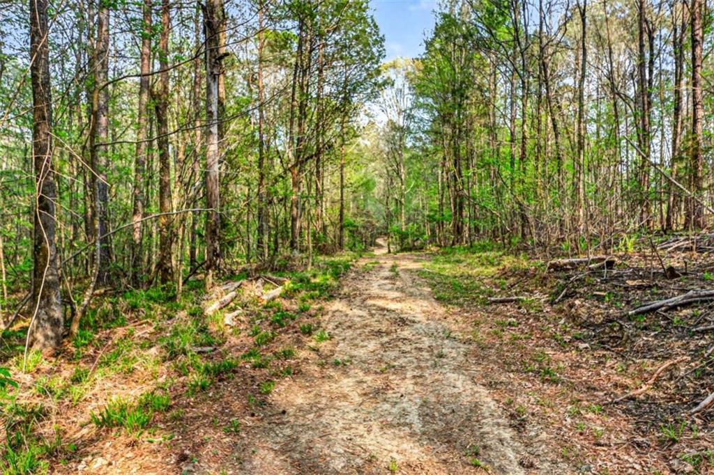 669 Pecan Grove Road Washington, GA 30673 - Photo 41 of 61